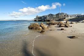monterey bay in california tours and