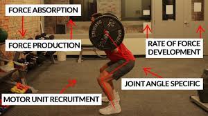 how to squat to increase vertical jump