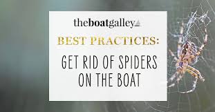 How To Get Rid Of Spiders On Boats