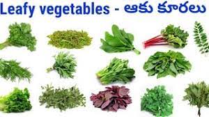 telugu leafy vegetables names