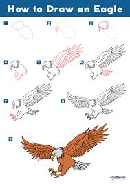 how to draw an eagle