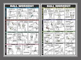 Swiss Ball Workout Professional Fitness Gym Wall Charts 2