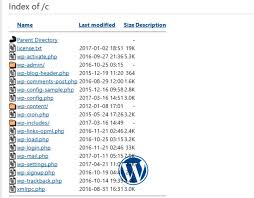 how to fix wordpress index of error