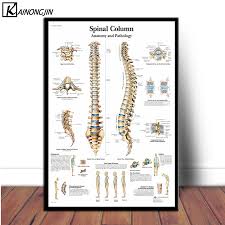 Us 9 68 37 Off Posters And Prints Spinal Column Chart Human Anatomy Knee Joint Foot Poster Canvas Painting Hd Wall Art For Room Home Decoration In
