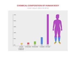 chemical composition of human body