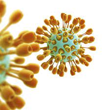 Mers-Virus – die nächste Pandemie? | M