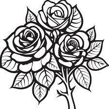 hand drawn roses sketch rose flowers