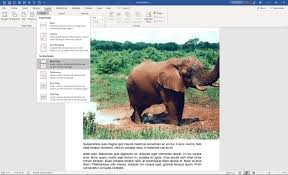 orientation of a single page in word