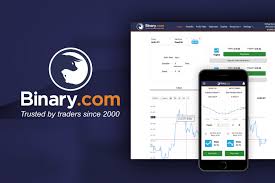 Beginners Guide To Binary Com Review 2019 Is It Safe All