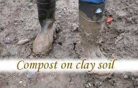 compost on clay soil it makes a