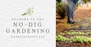 What Is No Dig Gardening And Should I