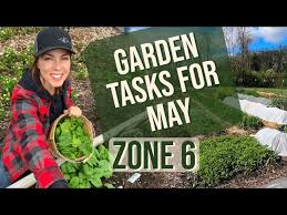 What To Do In The Garden In May Zone 6
