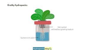 7 cost effective diy hydroponics for