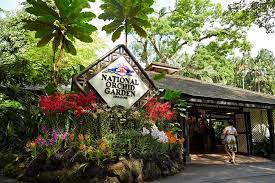national orchid garden admission ticket