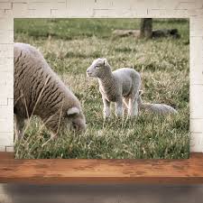 Lambs On Farm Print Wall Art Antique