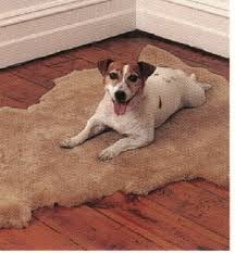sheepskin pet rugs at village com
