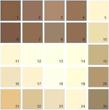 Judicious Brown Paint Chart Light Brown Color Light Brown