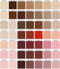 78 Problem Solving Pantone Brown Colour Chart