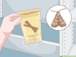 3 ways to get rid of pantry moths wikihow