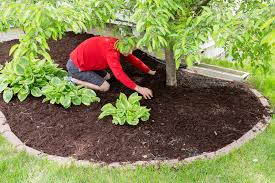 3 things to know before you mulch