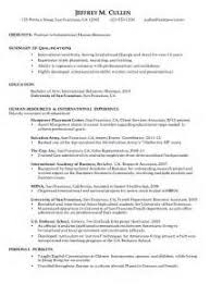 Resume Critiquing Service   New York City Professional Resume    