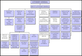 25 Specific Room Division Department Organizational Chart