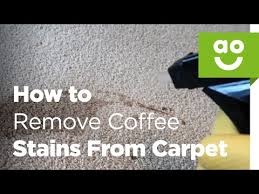 remove coffee stains from a carpet