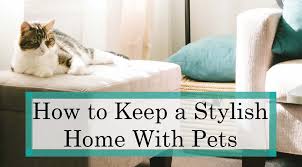 how to keep your home stylish with pets