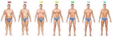 Measuring Body Fat Percentage At Home And Chart