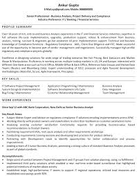 Entry Level Business Analyst Resume Examples Senior Business Analyst