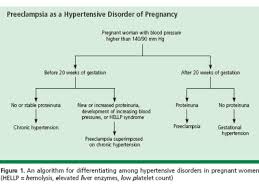 Hypertency Pathophysiology Of Pregnancy Induced Hypertension