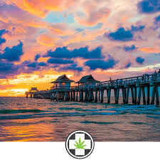 Check spelling or type a new query. Florida Medical Marijuana Laws Dr Green Relief Florida Marijuana Card