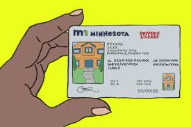 give undoented minnesotans driver s