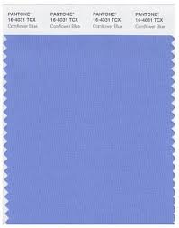 Pantone Cornflower Blue Blue Wall