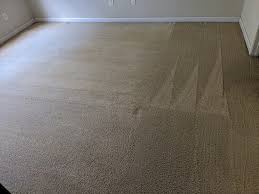 palmetto carpet tile cleaners reviews