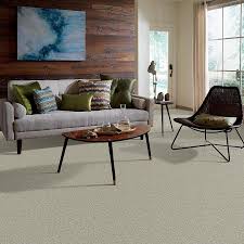 bare mineral textured interior carpet