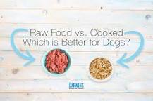 Do dogs prefer raw or cooked steak?