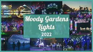 moody gardens lights 2022 guide to