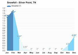 yearly monthly weather silver point tn