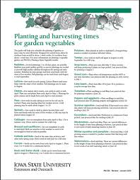 vegetable varieties for the home garden