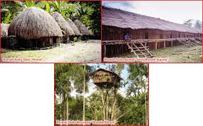 Pulau papua yang termasuk salah satu pulau bagian timur indonesia yang terdiri dari dua provinsi yang. Rumah Adat Papua Lengkap Penjelasannya Seni Budayaku