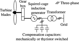 squirrel cage induction motor an