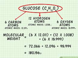 how to calculate molecular weight 6