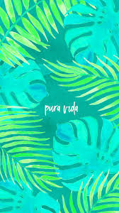 pura vida wallpapers wallpaper cave