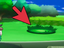 How To Get Shedinja 5 Steps With Pictures Wikihow