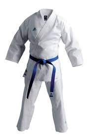 Amazon Com Adidas Master Karate Uniform Martial Arts