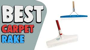 best carpet rake top rated