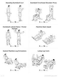 Biceps Workout Chart Step By Step Pdf The Best Bicep