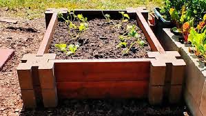 Building A Diy Raised Vegetable Garden Bed
