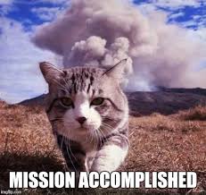 New hairless cat meme memes grumpy cat memes, funny memes, animals memes. 20 Mission Accomplished Memes To Say You Re Awesome Sayingimages Com